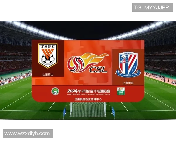 04赛季鲁能与申花的巅峰对决回顾与精彩瞬间分析